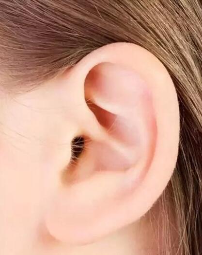 耳软骨鼻尖多久可以取出来_耳软骨鼻尖发白有顶穿的风险
