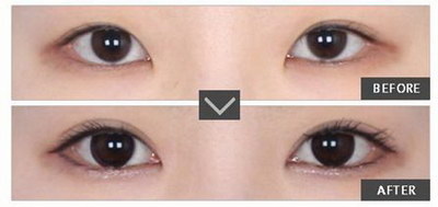 标准脸型的三庭五眼(标准脸型的三庭五眼的特点)