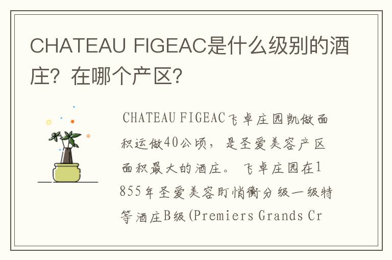 CHATEAU FIGEAC是什么级别的酒庄？在哪个产区？